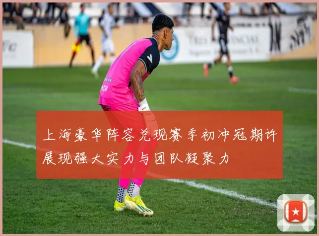 上海豪华阵容兑现赛季初冲冠期许展现强大实力与团队凝聚力